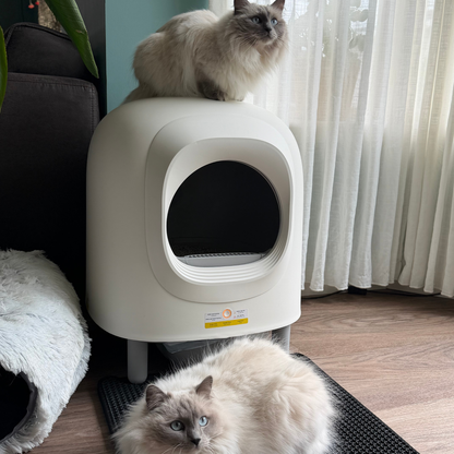 Petree Cube v2 - Zelfreinigende kattenbak