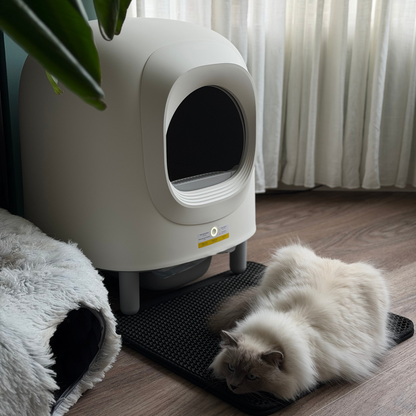 Petree Cube v2 - Zelfreinigende kattenbak
