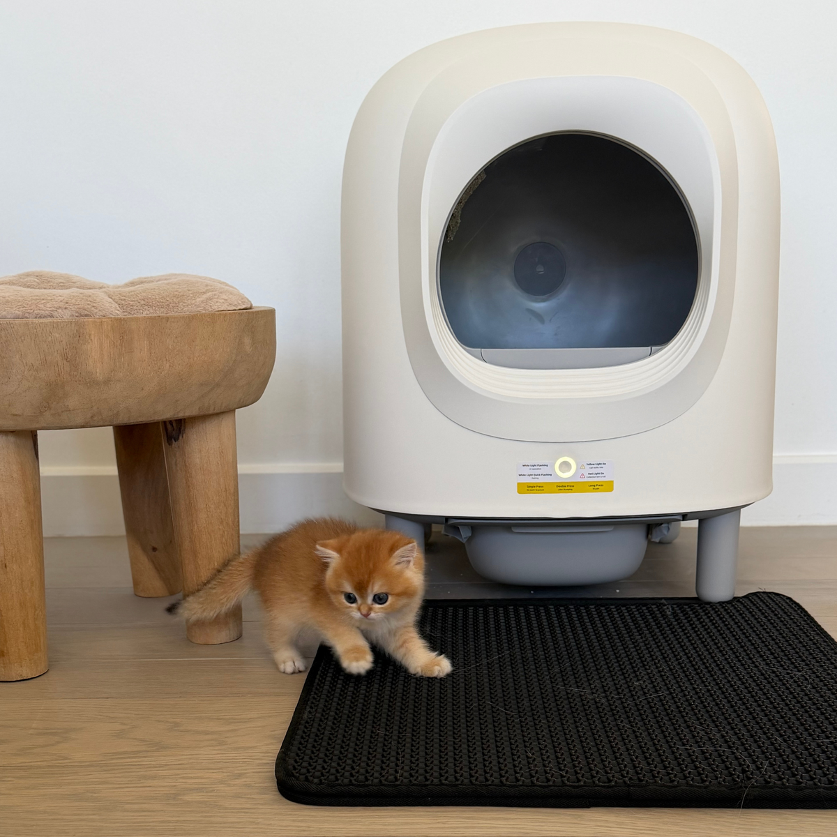 Petree Cube v2 - Zelfreinigende kattenbak